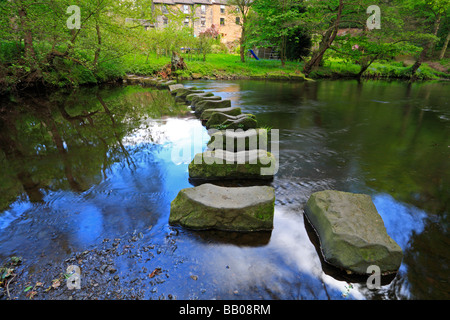 Pietre miliari attraverso il fiume Don a Wortley, Barnsley, South Yorkshire, Inghilterra, Regno Unito. Foto Stock