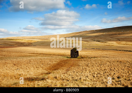 Maen Llúria pietra permanente, vicino Ystradfellte, Brecon Beacons, Wales, Regno Unito Foto Stock