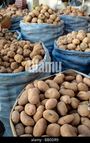 Sacchi di patate in Mercado Campesino, Sucre, Bolivia Foto Stock