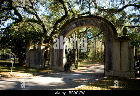 La Georgia Savannah USA. Wormsloe Historic Site . Miglio lungo Live Oak Avenue Foto Stock