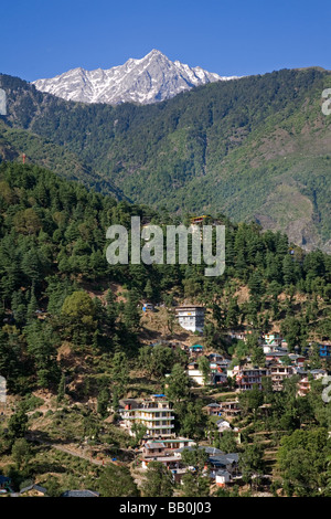 McLeod Ganj. Himachal Pradesh. India Foto Stock