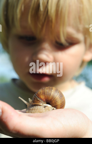 La donna nella sua mano azienda Helix pomatia lumaca giardino in Europa Foto Stock