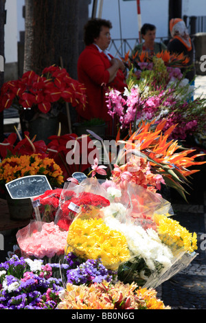 Funchal Madeira città in riva al mare isola portoghese nella metà Oceano Atlantico Foto Stock