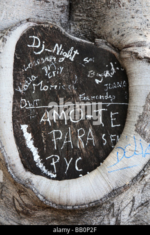 Funchal Madeira città in riva al mare isola portoghese nella metà Oceano Atlantico Foto Stock