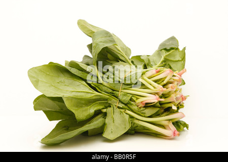 Un mazzetto di spinaci isolato (intaglio) su sfondo bianco. Foto Stock