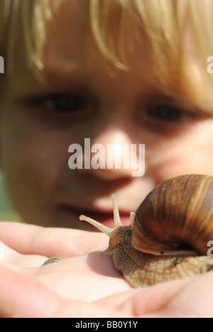 La donna nella sua mano azienda Helix pomatia lumaca giardino in Europa Foto Stock