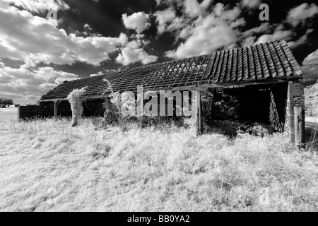 Immagine attraverso il 'Grande britannica" campagna shot in infrarosso, Gran Bretagna. Foto Stock