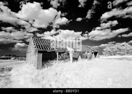 Immagine attraverso il 'Grande britannica" campagna shot in infrarosso, Gran Bretagna. Foto Stock