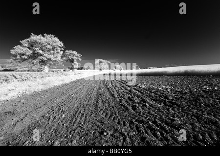 Immagine attraverso il 'Grande britannica" campagna shot in infrarosso, Gran Bretagna. Foto Stock