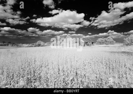 Immagine attraverso il 'Grande britannica" campagna shot in infrarosso, Gran Bretagna. Foto Stock