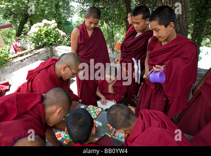 Monaci Tibetani a giocare con le tessere di un puzzle. Tsechokling monastero. McLeod Ganj. Dharamsala. Himachal Pradesh. India Foto Stock