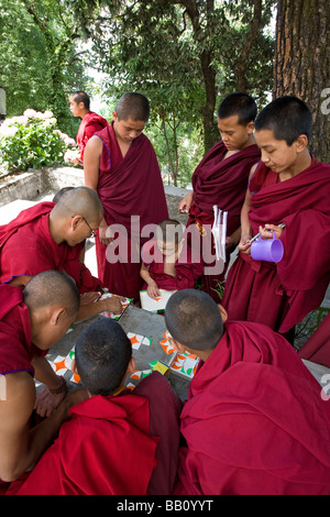 Monaci Tibetani a giocare con le tessere di un puzzle. Tsechokling monastero. McLeod Ganj. Dharamsala. Himachal Pradesh. India Foto Stock