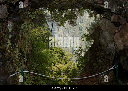 Lavada tunnel a piedi Madeira Portogallo un'isola a metà Oceano Atlantico Foto Stock