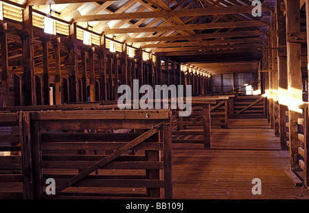 Interno woolshed storico, Australia Foto Stock