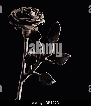 Lamiera di acciaio Rose Foto Stock