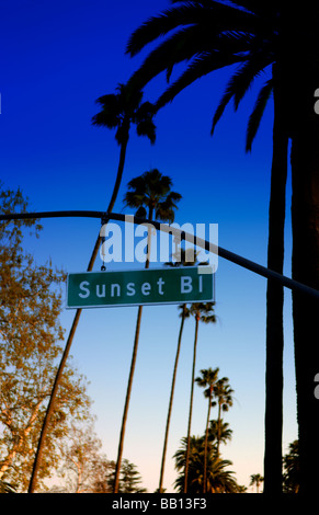 Sunset Blvd sign in Beverly Hills Los Angeles California Foto Stock