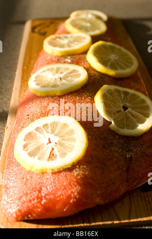 Un filetto di salmone rosso è raffigurato su un imbevuto di acqua in legno di cedro su cui è cotto su una griglia Foto Stock