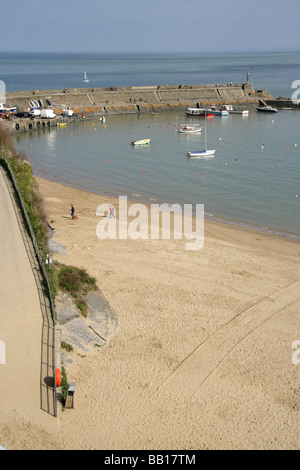 Città di New Quay, il Galles. Vista in elevazione della nuova banchina beach, con attività per il tempo libero e per le navi da pesca ormeggiate nella nuova banchina del porto. Foto Stock