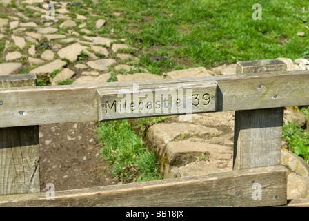 Milecastle 39 Castle Nick. Il Vallo di Adriano, acciaio Rigg sezione vicino a Hexham Northumberland Inghilterra. Foto Stock