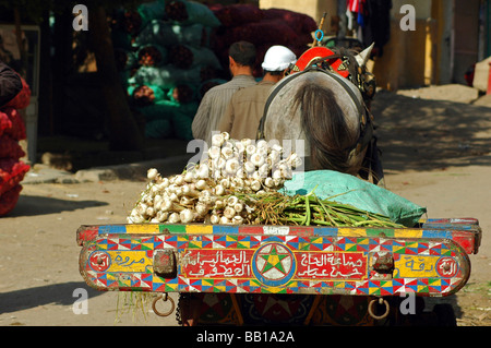 L'Egitto, al Cairo. Carrello colorati di un commerciante ambulante di aglio, alcuni scritti arabi dipinta sul carrello (RF) Foto Stock