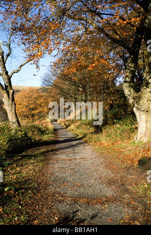 Taff Trail, Quakers Yard vicino a Merthyr Tydfil, South Wales Valleys. Foto Stock