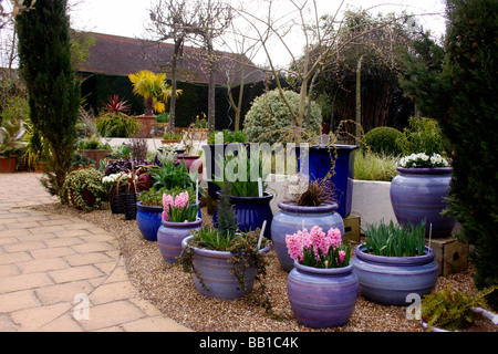 Contenitore GIARDINO IN PRIMAVERA A RHS Wisley. Foto Stock