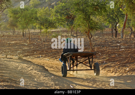 MALI, Paese Dogon. Carrello in Africa (RF) Foto Stock