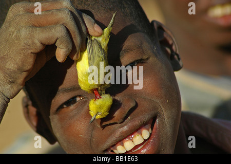 MALI, Paese Dogon. Ragazzo africano che mostra con orgoglio il giallo bird ha catturato (RF) Foto Stock