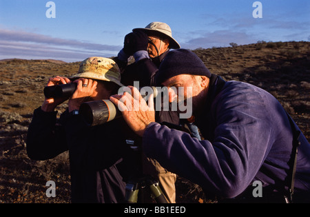 Il birdwatching, outback Asutralia Foto Stock