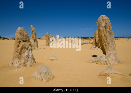 I pinnacoli Western Australia Foto Stock