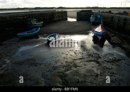 Barche nel porto di Beadnell, Northumberland Foto Stock