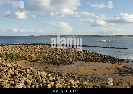 Beadnell beach, Northumberland Foto Stock