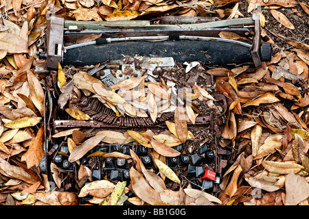 Rotture di macchina da scrivere elettrica sinistra in caduta foglie. Foto Stock