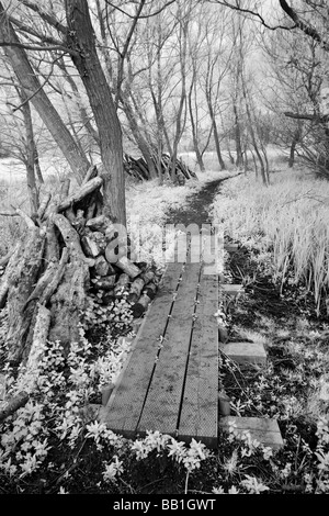 Immagine attraverso il 'Grande britannica" campagna shot in infrarosso, Gran Bretagna. Foto Stock