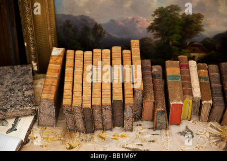 Libri antichi al mercato di antiquariato Neuchatel svizzera Foto Stock