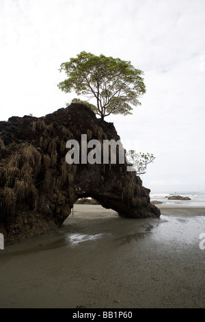 Una roccia arcuato sulla spiaggia nel Parco Nazionale di Corcovado, Costa Rica Foto Stock