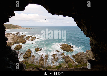 Un naturale grotta costiera si affaccia sull'Oceano Indiano, De Hoop riserva naturale, Western Cape, Sud Africa Foto Stock