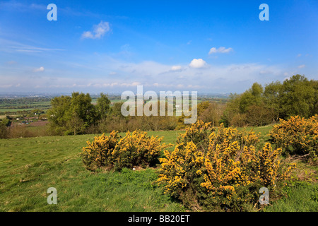 Barr Beacon Country Park con le viste verso Walsall Wolverhampton e Cannock Birmingham REGNO UNITO Foto Stock