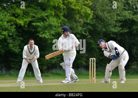 Village cricket in Lapworth, Warwickshire, Inghilterra, Regno Unito Foto Stock