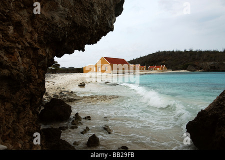 Antille Olandesi Bonaire Boka Slagbaai del Washington Slagbaai National Park Foto Stock