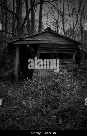 Creepy abbandonato capanna di pastore nel bosco in remoto Foto Stock