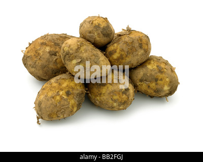 patate novelle Foto Stock