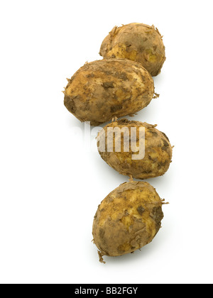 patate novelle Foto Stock