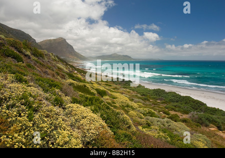 La linea di costa al Misty scogliere. A Cape Point e Penisola vicino a Scarborough, Cape Town, Sud Africa Foto Stock