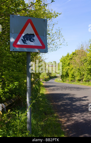 Piegatura divertenti cartello stradale di avvertimento di rane attraversando la strada in un paese di lingua inglese lane Foto Stock