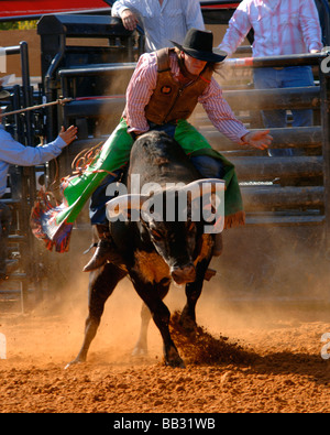 Rodeo bull rider performance al Texas State Fair rodeo arena/Dallas 2008 Foto Stock