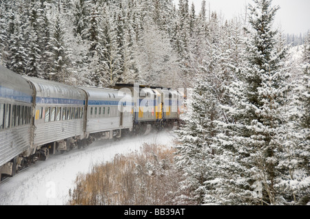 Canada, Alberta. VIA Treno Il treno da neve tra Edmonton & Jasper. Foto Stock