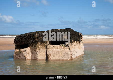 WW2 scatola di pillole rovina sulla spiaggia vicino Easington, East Yorkshire, Inghilterra, Regno Unito Foto Stock