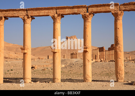 Rovine antiche, Palmyra, Siria Foto Stock