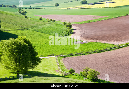 Vista su terreni agricoli e di campagna di laminazione nel Wiltshire, Inghilterra REGNO UNITO Foto Stock